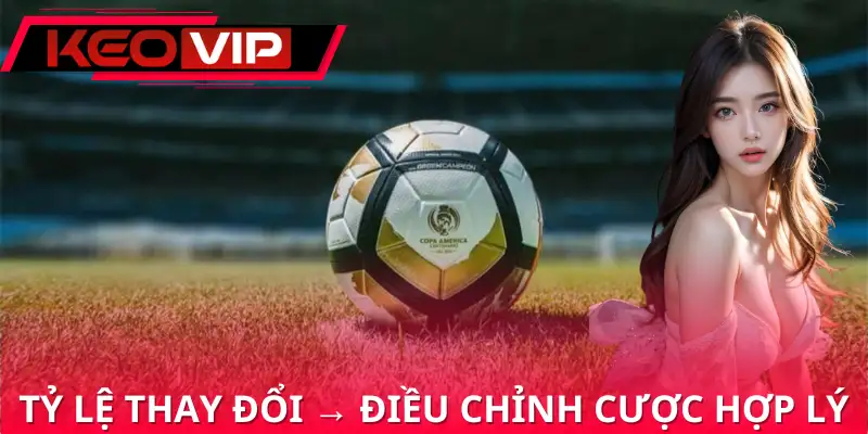 Cần xem xét biến động khi chơi kèo chấp 0/0.5 